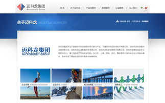 邁科龍官方網(wǎng)站設計制作 成功案例 沙漠風網(wǎng)站建設公司